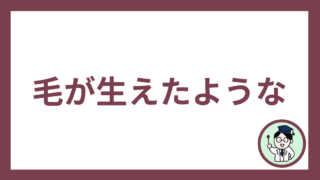 毛が生えたような