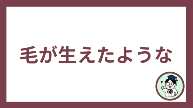 毛が生えたような
