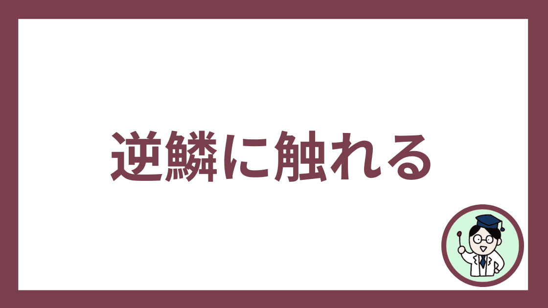 逆鱗に触れる