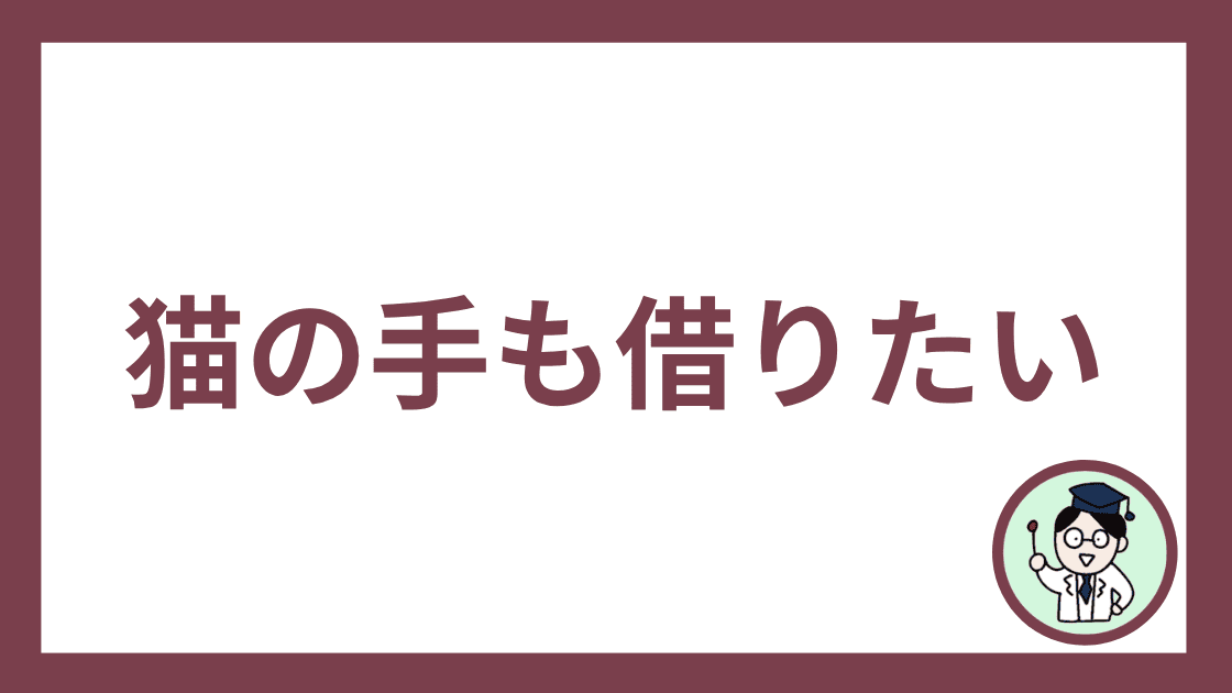 猫の手も借りたい