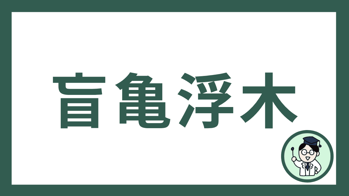 盲亀浮木